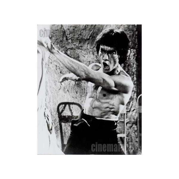 cinemainc2019_bro01373