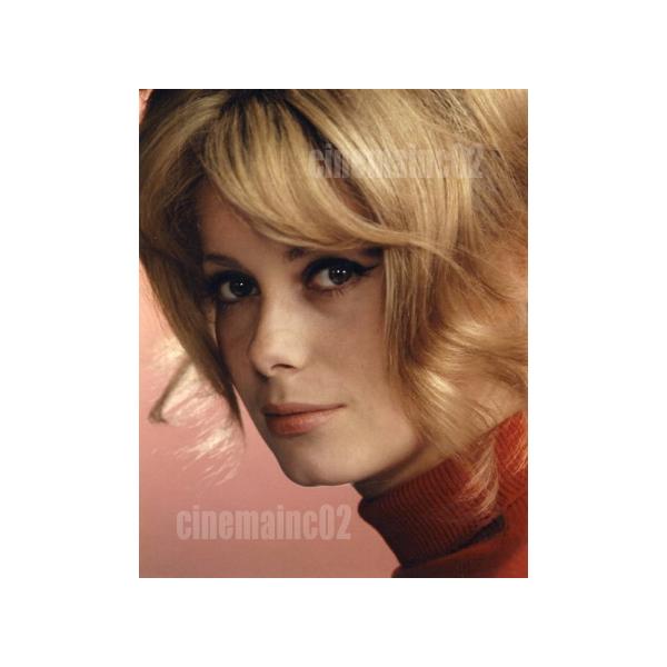 カトリーヌ・ドヌーヴ/見つめるかわいい超アップ写真 : シネマインク