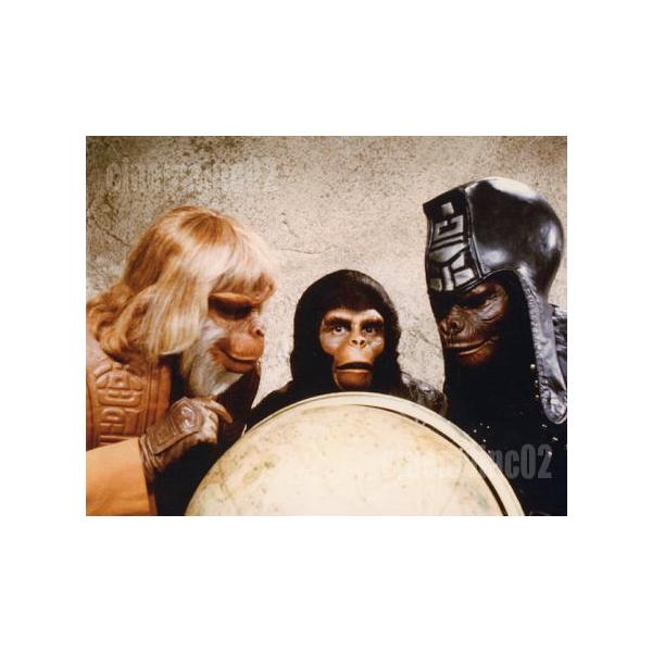 猿の惑星』/コーネリアス、ゼイウス博士、ゴリラ軍曹の写真 : シネマ