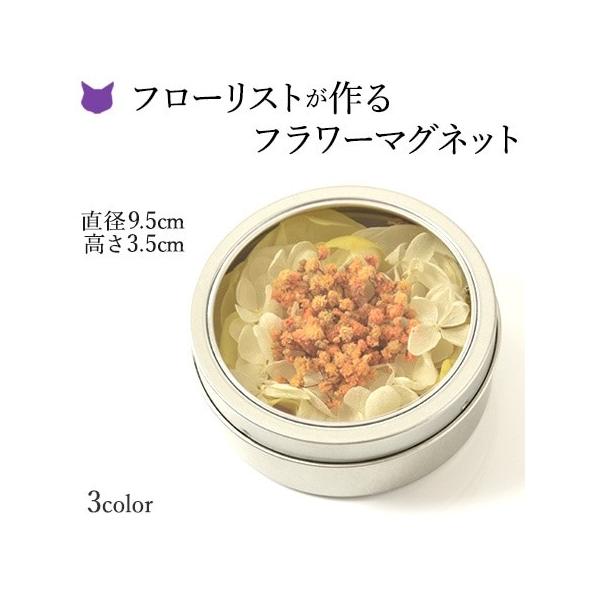 cirque-du-flower_cdfarr006