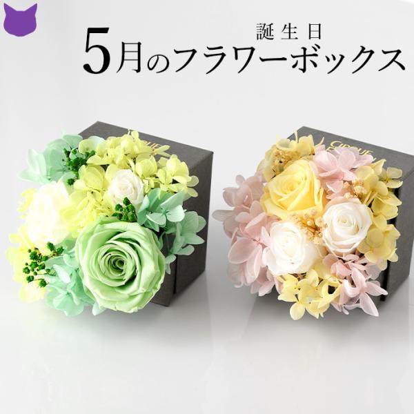 cirque-du-flower_cdfbth005