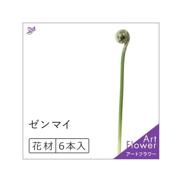 ゼンマイ ぜんまい 花 材料 グリーン 緑 インテリア おしゃれ アレンジ メント 人工 アスカ Asca 花材 造花 アートフラワー Cf シルク ド フラワー 通販 Yahoo ショッピング