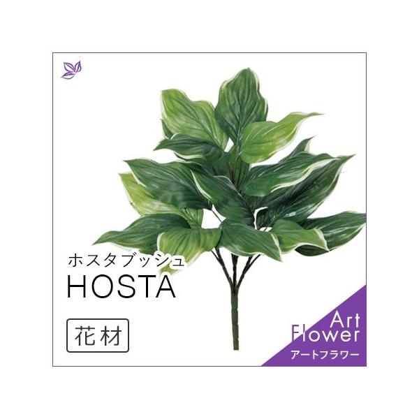 ホスタ ブッシュ 観葉植物 フェイク グリーン 緑 インテリア 室内 おしゃれ アレンジ メント アスカ Asca 花材 人工 Cf シルク ド フラワー 通販 Yahoo ショッピング