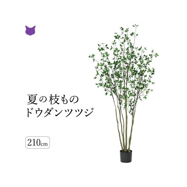 造花 グリーン 観葉植物 2m ツツジ 2m 花材 大型 ドウダン ツツジ フェイク 種類 0cm インテリア 枝 もの おしゃれ 花材 アスカ Asca Cf シルク ド フラワー