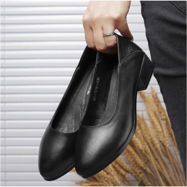 citron-ec_ec5977_2_d_20230203164012