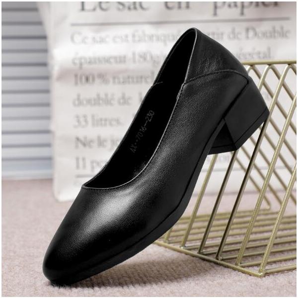 citron-ec_ec5977_3_d_20230203164012