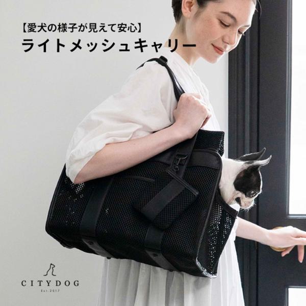 美品⭐︎citydog ライトメッシュキャリーLサイズ CITYDOG 犬 キャリーバッグ トート キャリー ケース 黒 猫