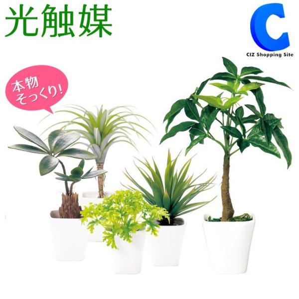 フェイクグリーン 光触媒 観葉植物 大型 おしゃれ インテリア パキラ パセリ ドラセナ コーデックス センチュリー 5種類 Buyee Buyee 日本の通販商品 オークションの代理入札 代理購入