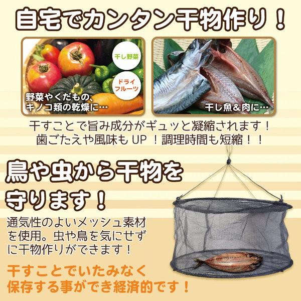 干し網 干しかご 1段 魚 ひもの 野菜 干物名人 MCK-48 /【Buyee 