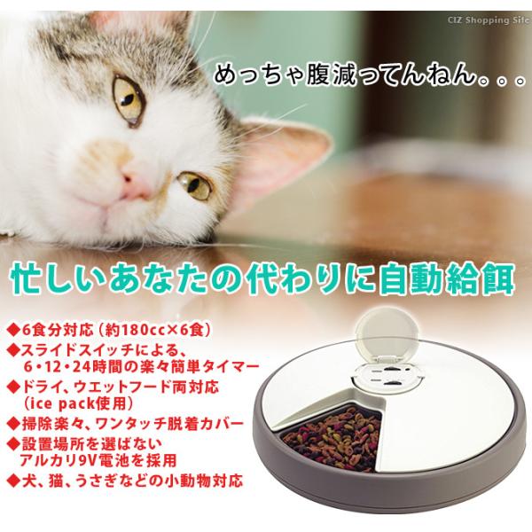 自動餌やり機 猫 犬用 自動給餌器 6食分対応 タイマー付き ペットディッシュ ケッセルジャパン Pd 06 Buyee Buyee Japanese Proxy Service Buy From Japan Bot Online