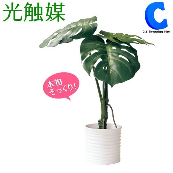 フェイクグリーン 光触媒 観葉植物 大型 おしゃれ インテリア モンステラ Buyee Buyee 일본 통신 판매 상품 옥션의 대리 입찰 대리 구매 서비스