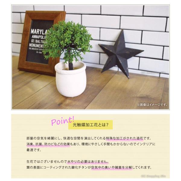 フェイクグリーン 光触媒 観葉植物 ミニサイズ プチ おしゃれ インテリア バジル パキラ ラベンダー アイビー 7種類 Buyee Buyee 提供一站式最全面最專業現地yahoo Japan拍賣代bid代拍代購服務 Bot Online