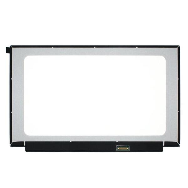 新品 東芝 dynabook B1/M P1-B1MN-BB P1B1MNBB P1-B1MM-BB P1B1MMBB P1