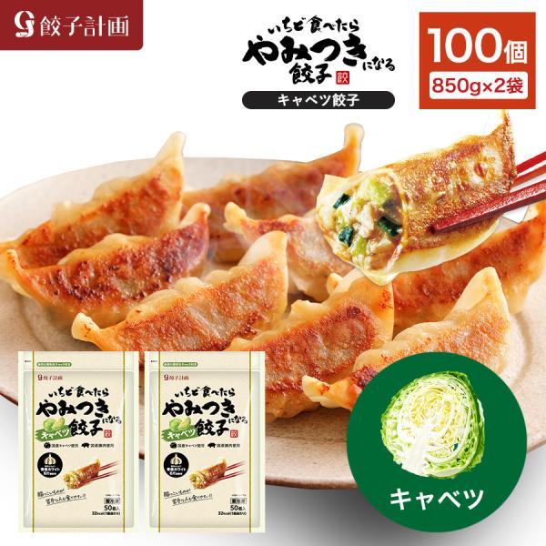 餃子 いちど食べたらやみつきになるキャベツ餃子 850g * 2袋セット 餃子計画 冷凍餃子 冷凍食品 ぎょうざ 爆買