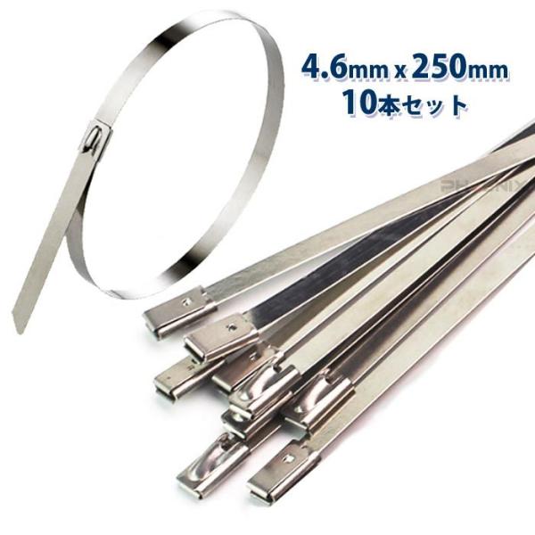 ステンレス 結束バンド タイラップ 4.6 x 250mm 25cm 25センチ 10本 セット インシュロック DIY ケーブル 車 バイク