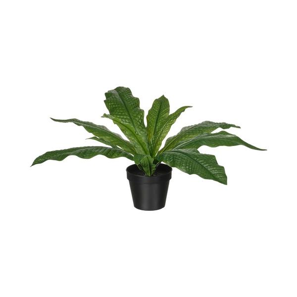 商品サイズ植木鉢の直径: 12cm素材葉:ポリエチレン . . . EVA樹脂 スチール茎:ポリエチレン .. ..内側の植木鉢:ポリプロピレン .. .お手入れ方法きれいな布でから拭きしてください室内・屋外兼用FEJKA フェイカ 人工観...