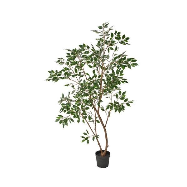 IKEA FEJKA フェイカ 人工観葉植物 ベンジャミン イケア（IKEA） 人工観葉植物 室内/屋外用/ベンジャミン 23cm