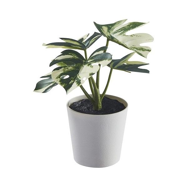 イケア（IKEA） 人工観葉植物 鉢カバー付き 室内 屋外用 モンステラ