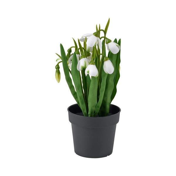 IKEA イケア 人工観葉植物 室内/屋外用/スノードロップ ホワイト 9cm m50613356 FEJKA フェイカ