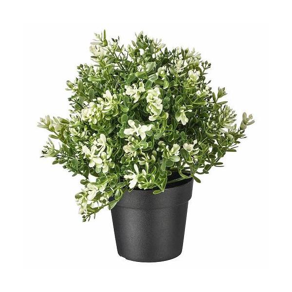 商品サイズ植木鉢の直径: 9 cm植物の高さ: 22 cm茎/ 葉:ポリエチレンプラスチック内側の植木鉢:ポリプロピレンプラスチック, コンクリート, ポリエチレンプラスチックきれいな布でから拭きしてください室内・屋外兼用まるで本物のような...