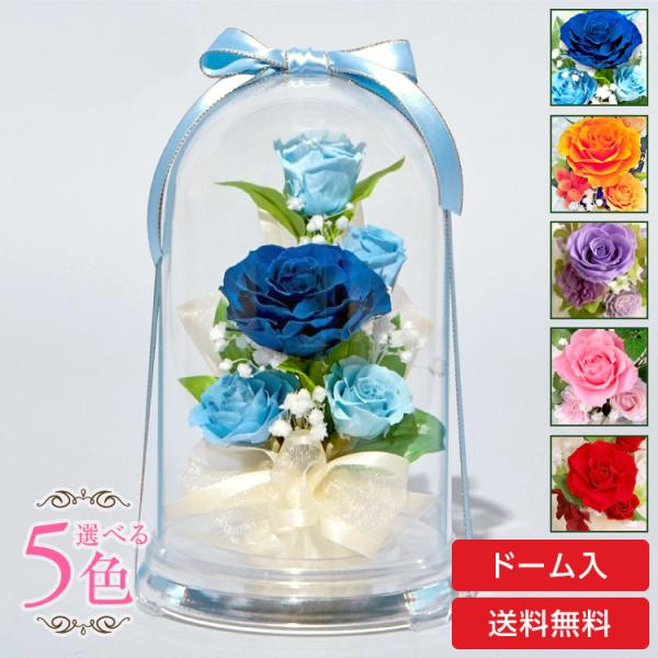 プリザーブドフラワー 送料無料 お祝い 誕生日 枯れない花 ドーム入り