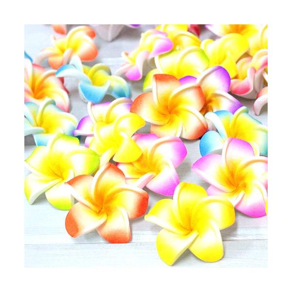 clara-hawaii_ba-rf47