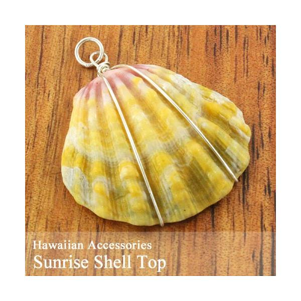 ハワイ 貝 シェル パーツ 在庫限定商品 サンライズシェル トップ ピアスパーツ ギフト プレゼント Drscgmcnanded In