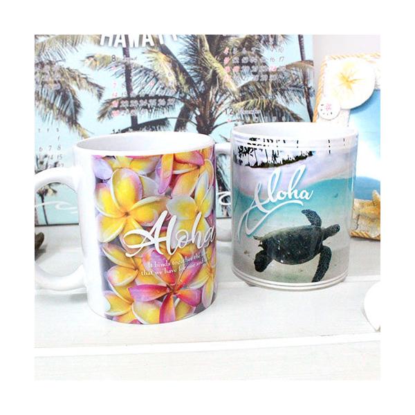 }OJbv 傫  nC Rbv nCAG Kahiko AtHg}OJbv Mtg v[g