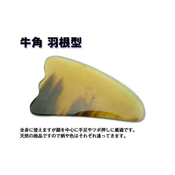 かたつむりかっさ 天然牛角 かっさ棒 かたつむり 顔用 つぼ押し 両用タイプ ポーチとかっさプレートと説明書付き 黒牛 Prettyfunnyballoons Com