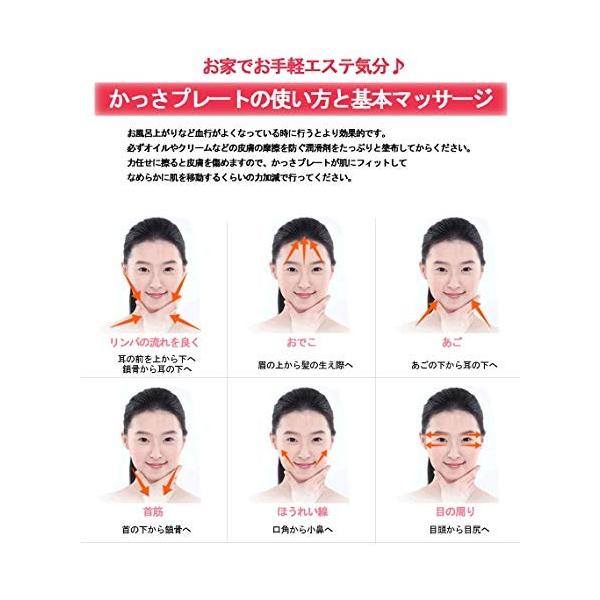 かっさプレート K3 3c アベンチュリン 羽 ポーチ付き 美肌 美顔 美容 マッサージ用 天然石 パワーストーン Fresnopianooutlet Com