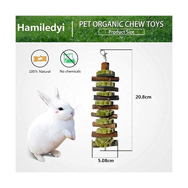 小動物用おもちゃ 噛む玩具 うさぎ ハムスター りんごの木 天然草 ペットおもちゃ 2セット Digitalizame Cl