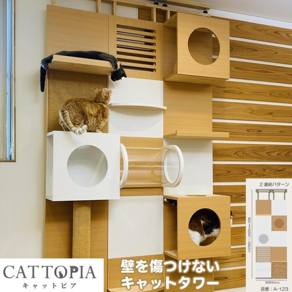 clasell_cattpia-a-123 clasell_cattpia-a-123