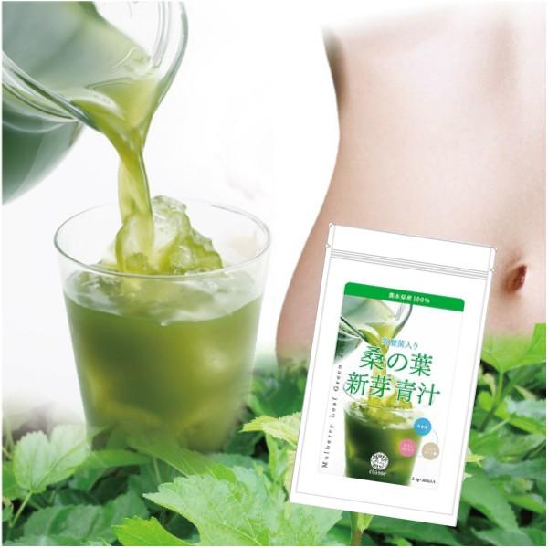 熊本　阿蘇山麓　無農薬栽培　桑の葉　青汁　乳酸菌　ラクトフェリン　オリゴ糖　食物繊維　配合 美腸　快適生活 訳あり　