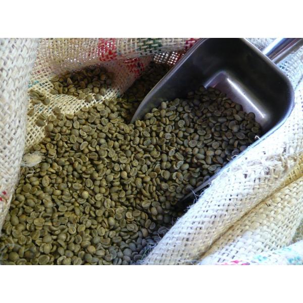 アラビカコーヒー生豆 コロンビア スプレモ カフェインレスウォーター500ｇ