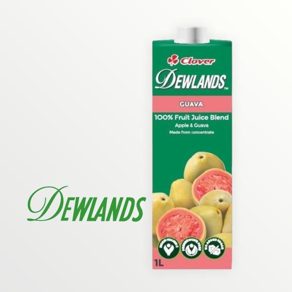 DEWLANDS fEh O@oW[X 1000ml gsJW[X