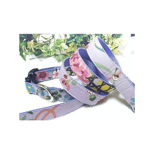 y50OFFzylG̉؁FazL@@ց[hZbg