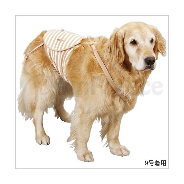 y50OFFz^pTXy_[t}i[xgI[KjbN@Xi2976j@||[X