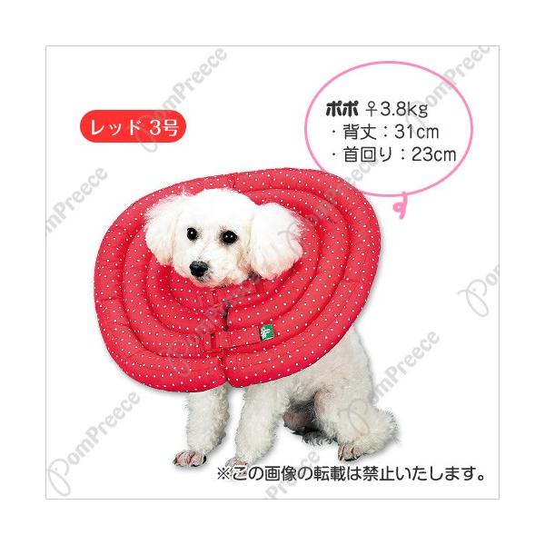 y50OFFzChh[ic GUxXJ[  PO[̂݁yppiz