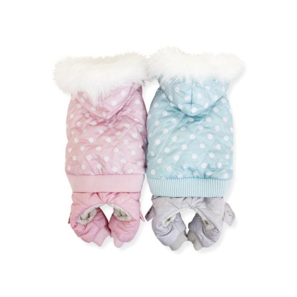 pXehbgȃR[g@I[CS`wk@@~@@Ȃ@@{A