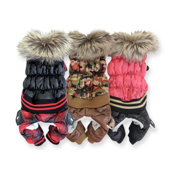 lbNt@[ȃR[g@I[C@S`wk @@~@@Ȃ@@{A