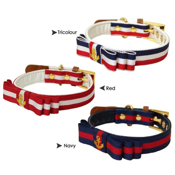 y50OFFzyRADICA*fBJz{[_[̃{J[@SS (55012)@@