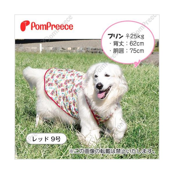 y݌ɏzy^pzXC[gPOP^Ngbv@X@||[X