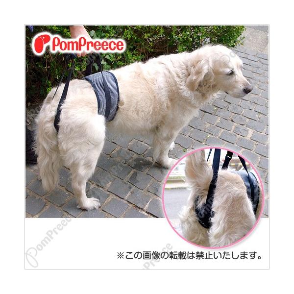 y50OFFzy^pz㑫p wvpc qbR[ X(5085)y@n[lXz@s⏕@||[X