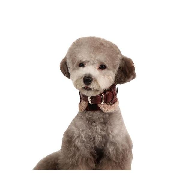 y50%OFFzyPUPPIA psAzBARRONlbNK[hJ[ipցj@S (AC055)