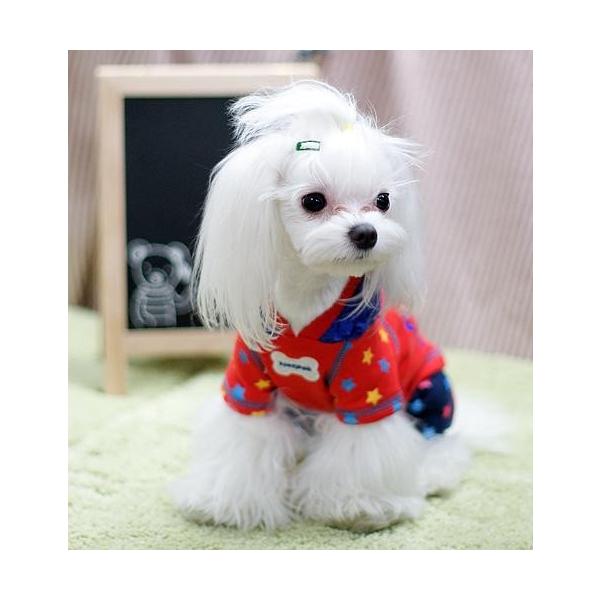 POP@STARI[C@r`Xk@@Ȃ@