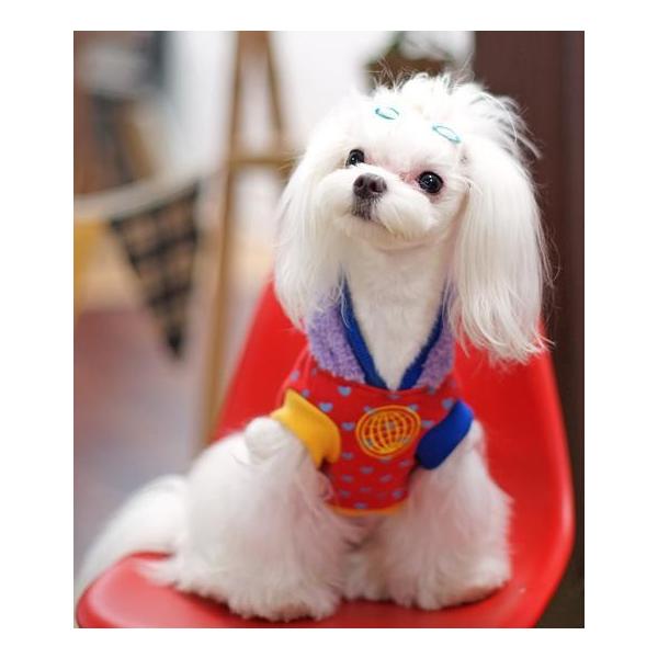 POP@HEARTp[J[@RXki6j@@