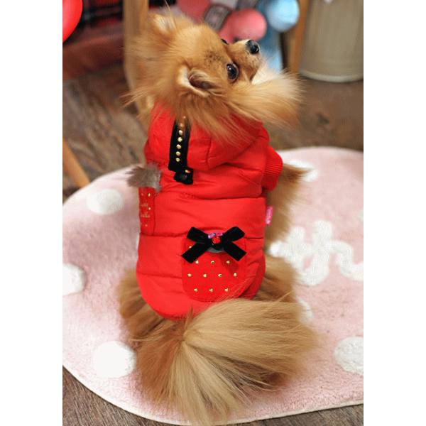 yH~VzGKXȃR[g@r`Xk@@~