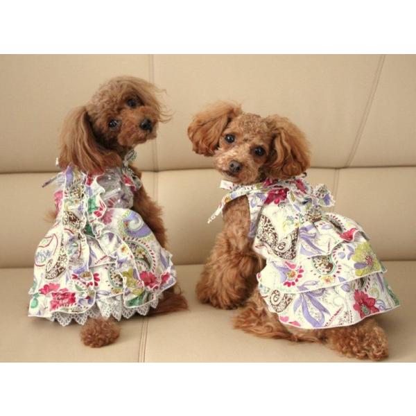 AJIAN FLOWER@s[X@SS`M