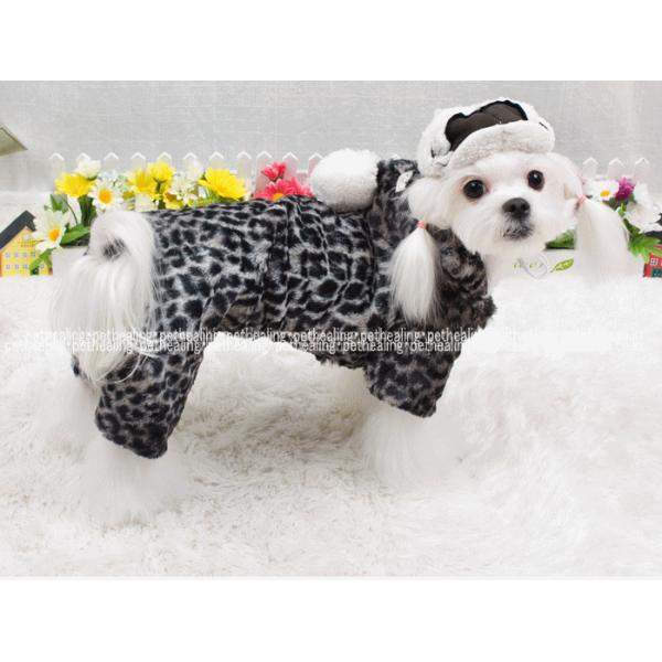 Ip[ht@[ȁ@I[C@S`wk@@~@@Ȃ@