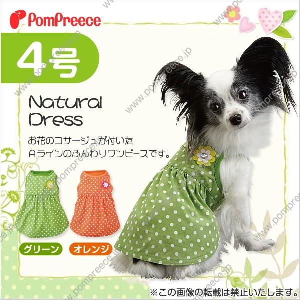 RT[Wthbgs[X Si1412j@@